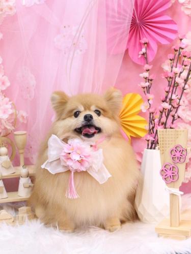 20250302梛都ちゃん